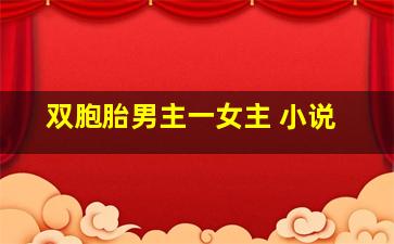 双胞胎男主一女主 小说